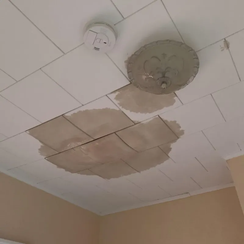 Ceiling Water Damage Repair in New Rockford, ND