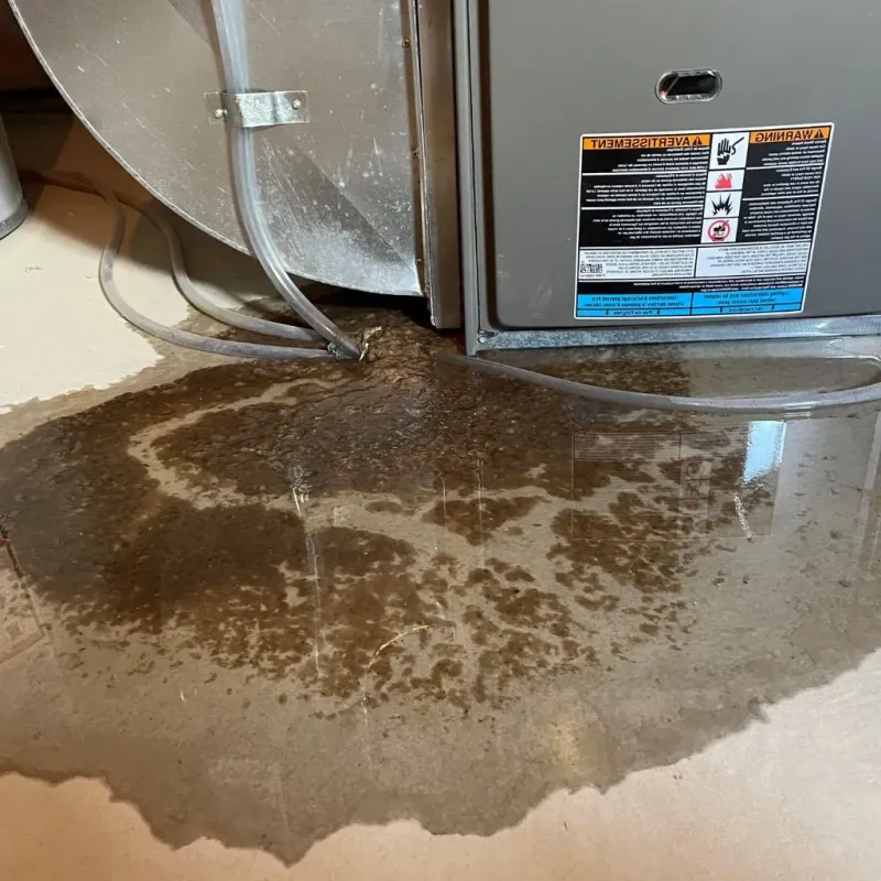 Pipe Burst and Leak Restoration in New Rockford, ND